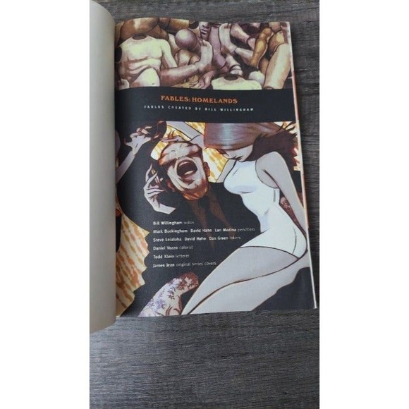 Fables Homelands by Bill Willingham Vol 6 TPB DC Vertigo Comics Softcover - Picture 8 of 12